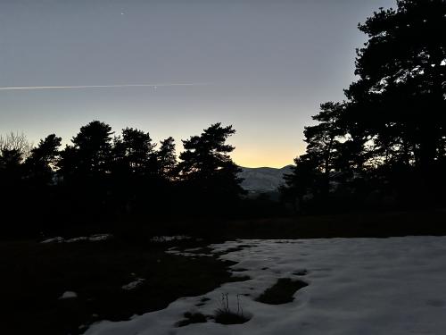 IMG_7280.JPG
